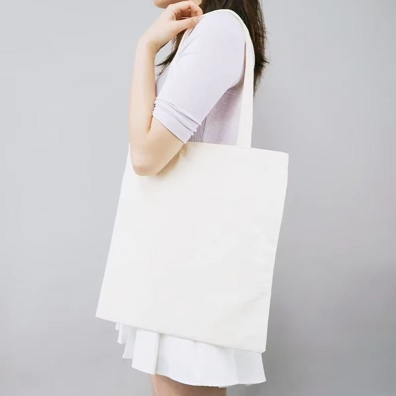Canvas bag for class, commutin - Korean Lifestyle Student 리뷰 및 가격